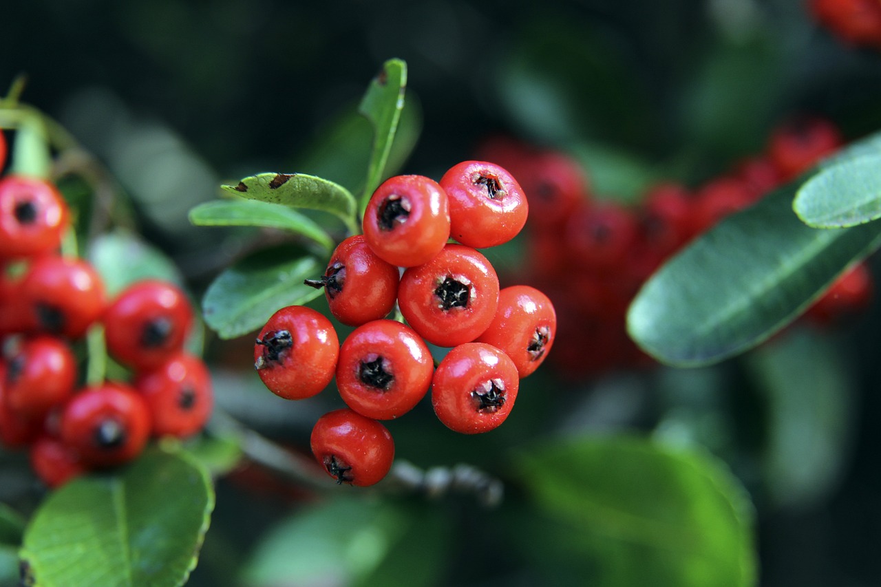 馬克西豪取33分12籃板 塔圖姆交出32分15籃板 兩隊各有三人得分20+ 76人令綠軍遭遇首場連敗.