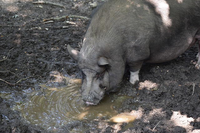 72岁大爷田径场火力全开，100米跑出14秒45：医生说我的心肺功能特别好！.